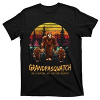 Grandpa Squatch Like A Grandpa Just Way More Squatchy Retro T-Shirt