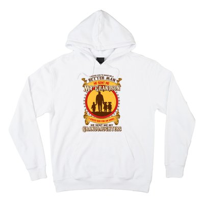 God Sent Me My Grandson And Granddaughters Hoodie