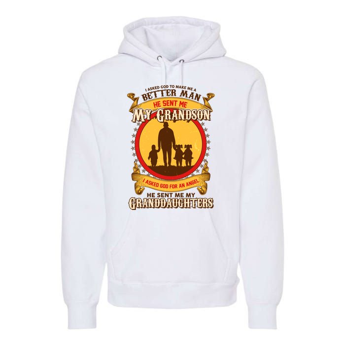 God Sent Me My Grandson And Granddaughters Premium Hoodie