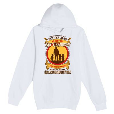 God Sent Me My Grandson And Granddaughters Premium Pullover Hoodie