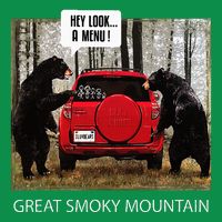 Great Smoky Mountain Bears Hey Look A Menu Womens T-Shirt