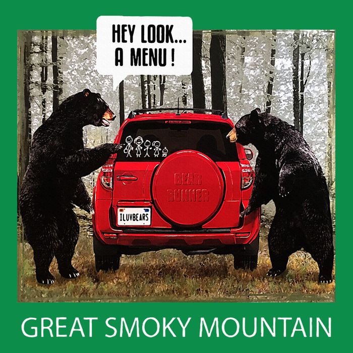 Great Smoky Mountain Bears Hey Look A Menu Womens T-Shirt