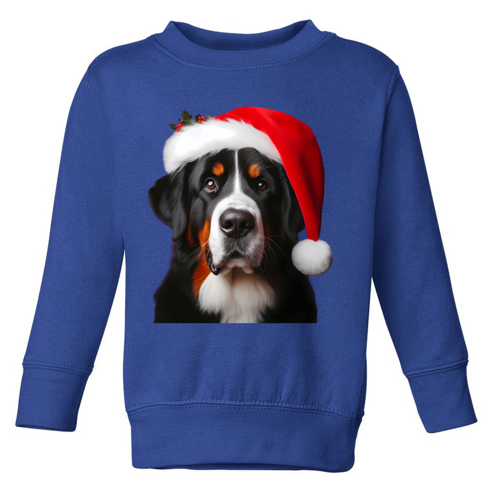 Greater Swiss Mountain Dog With Santa Hat Christmas Dog Mom Gift Toddler Sweatshirt
