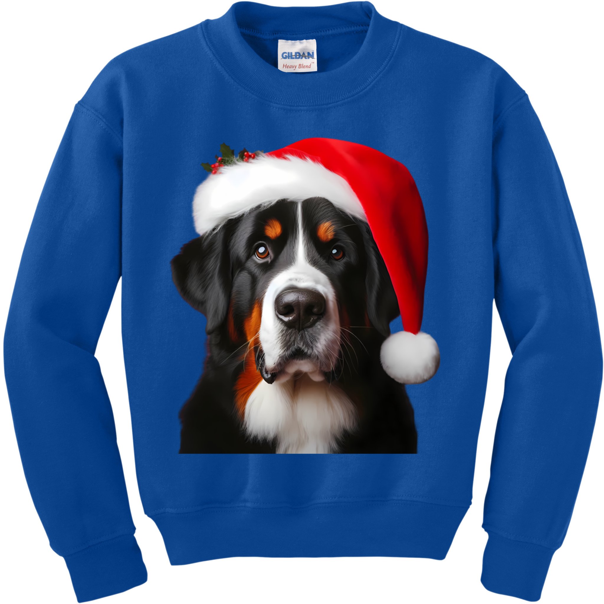 Greater Swiss Mountain Dog With Santa Hat Christmas Dog Mom Gift Kids Sweatshirt