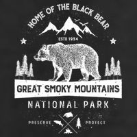 Great Smoky Mountains National Park Gift Bear Vintage Gift Beanie