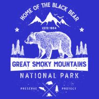 Great Smoky Mountains National Park Gift Bear Vintage Gift Kids T-Shirt