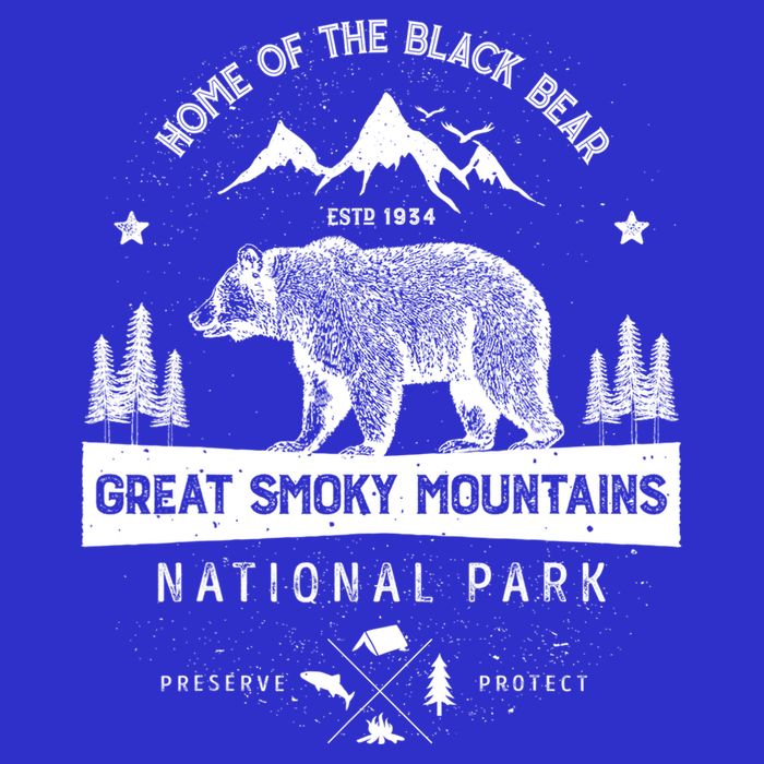 Great Smoky Mountains National Park Gift Bear Vintage Gift Kids T-Shirt