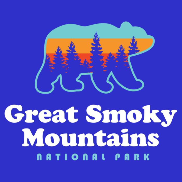 Great Smoky Mountains Great Gift Bear Great Smoky Mountains Gift Womens Tank Top