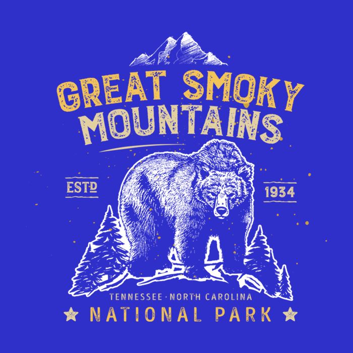 Great Smoky Mountains National Park Bear Vintage Gift Sweatshirt