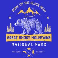 Great Smoky Mountains Cool Gift National Park Bear Vintage T-Shirt
