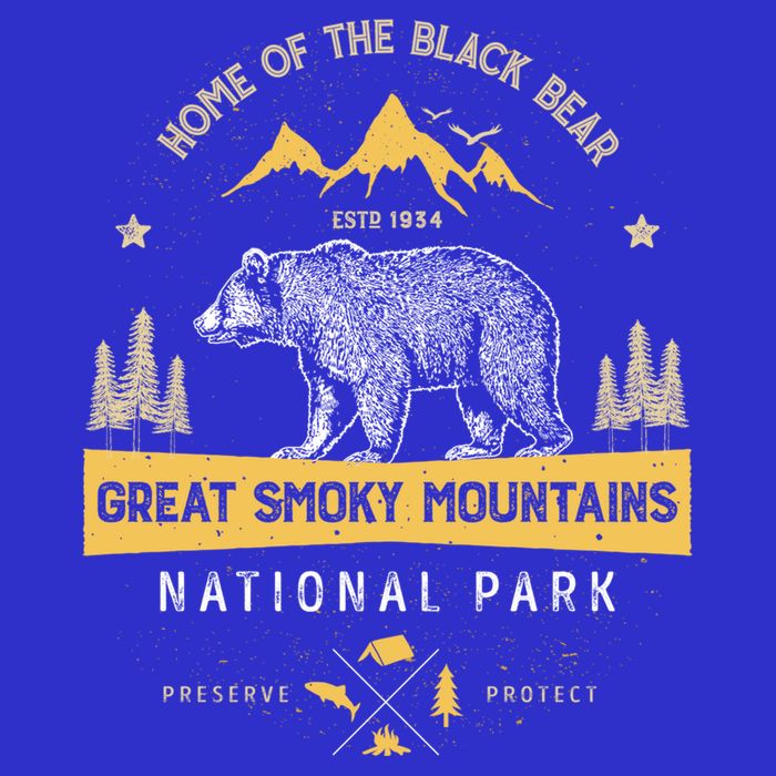 Great Smoky Mountains Cool Gift National Park Bear Vintage T-Shirt