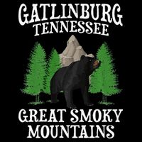 Great Smoky Mountains National Park Gatlinburg Tennessee USA Visor
