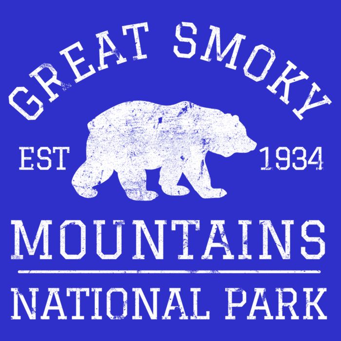 Great Smoky Mountains National Park Tennessee Bear Hiking Gift Tall T-Shirt