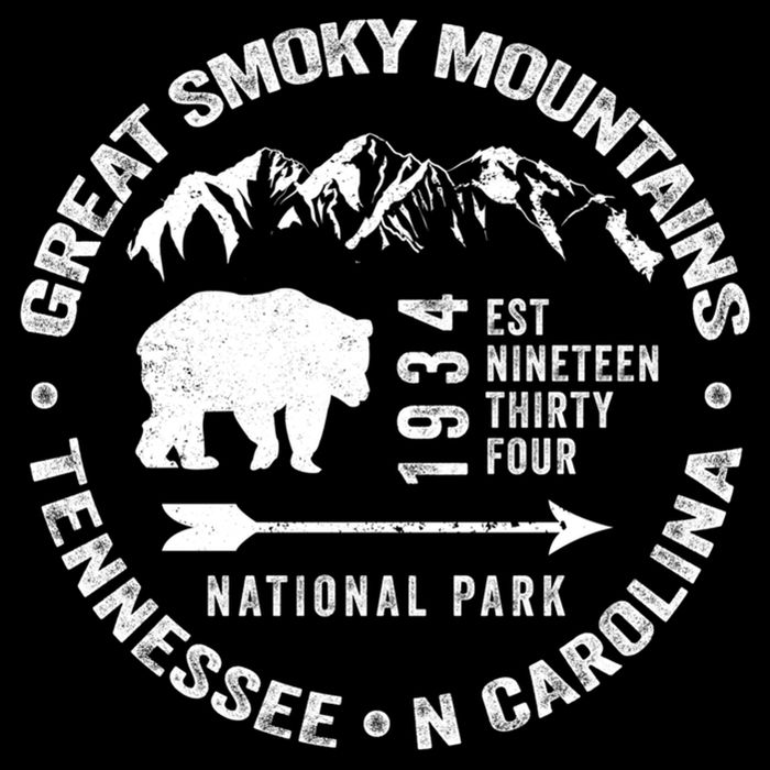 Great Smoky Mountains National Park NC TN Grunge Art Novelty Impact Tech Backpack