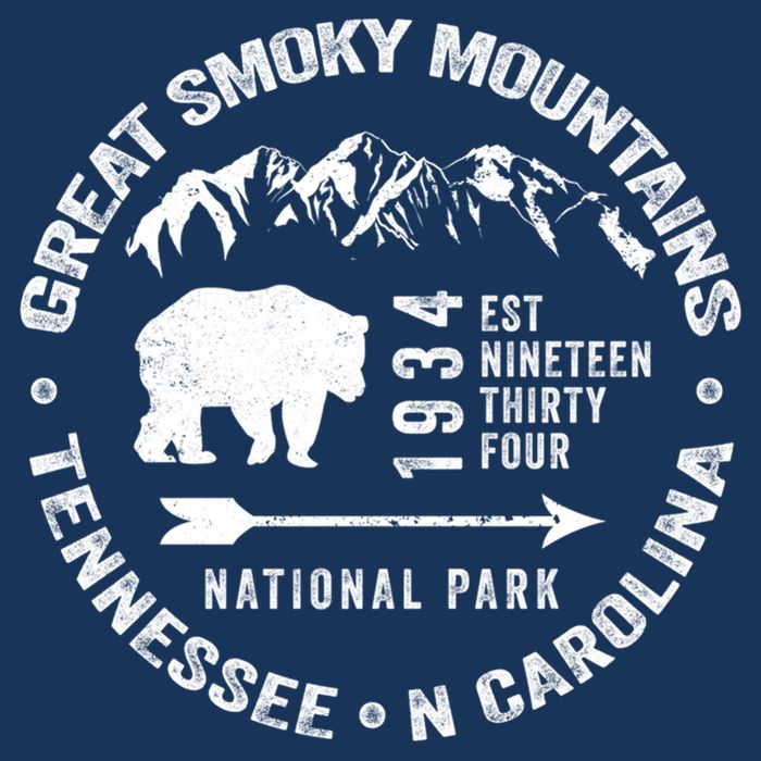 Great Smoky Mountains National Park NC TN Grunge Art Novelty Flat Bill Trucker Hat