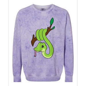 Green Snake On Branch Reptiles Kids Snakes Colorblast Crewneck Sweatshirt