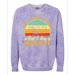 Ger Shorthaired Pointer My Gsp Does But I Stay Pawsitive Gift Colorblast Crewneck Sweatshirt