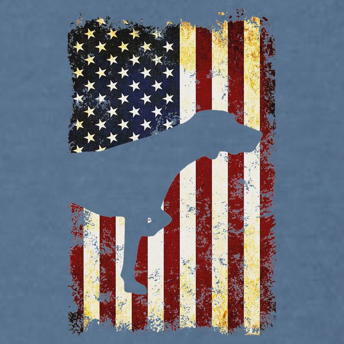 German Shorthaired Pointer Silhouette American Flag Garment-Dyed Sweatshirt