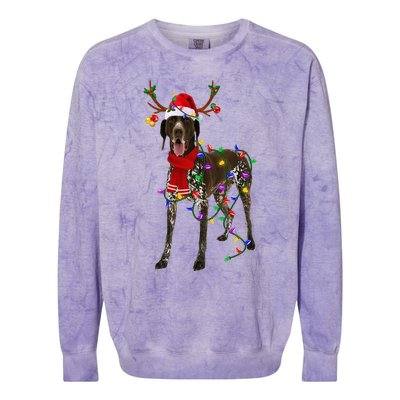 German Shorthaired Pointer Dog Tree Christmas Lights Pajama Colorblast Crewneck Sweatshirt