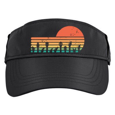 Guitars Sunset Retro Style Vintage Guitarist Adult Drive Performance Visor