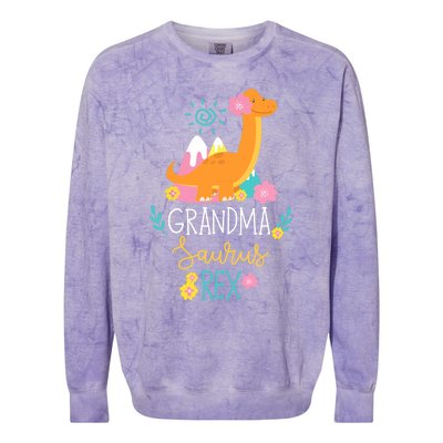 Grandma Saurus Rex Funny Dinosaur Wo Colorblast Crewneck Sweatshirt