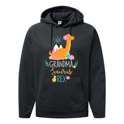 Grandma Saurus Rex Funny Dinosaur Wo Performance Fleece Hoodie