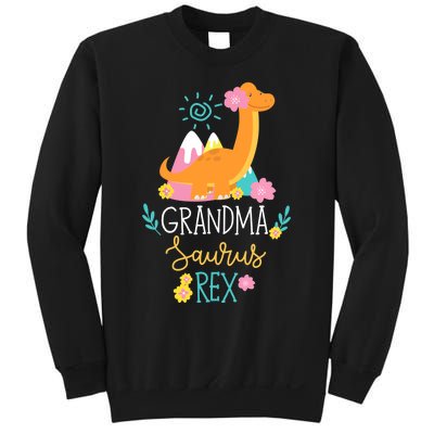 Grandma Saurus Rex Funny Dinosaur Wo Sweatshirt