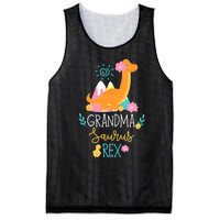 Grandma Saurus Rex Funny Dinosaur Wo Mesh Reversible Basketball Jersey Tank