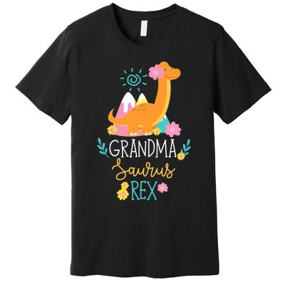 Grandma Saurus Rex Funny Dinosaur Wo Premium T-Shirt