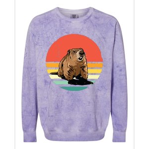 Groundhog Shirts Retro Style Rodent Animal Groundhogs Day Colorblast Crewneck Sweatshirt