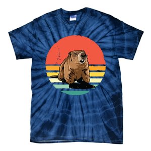 Groundhog Shirts Retro Style Rodent Animal Groundhogs Day Tie-Dye T-Shirt