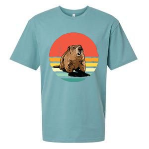 Groundhog Shirts Retro Style Rodent Animal Groundhogs Day Sueded Cloud Jersey T-Shirt