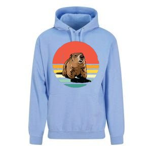 Groundhog Shirts Retro Style Rodent Animal Groundhogs Day Unisex Surf Hoodie