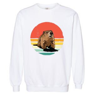 Groundhog Shirts Retro Style Rodent Animal Groundhogs Day Garment-Dyed Sweatshirt