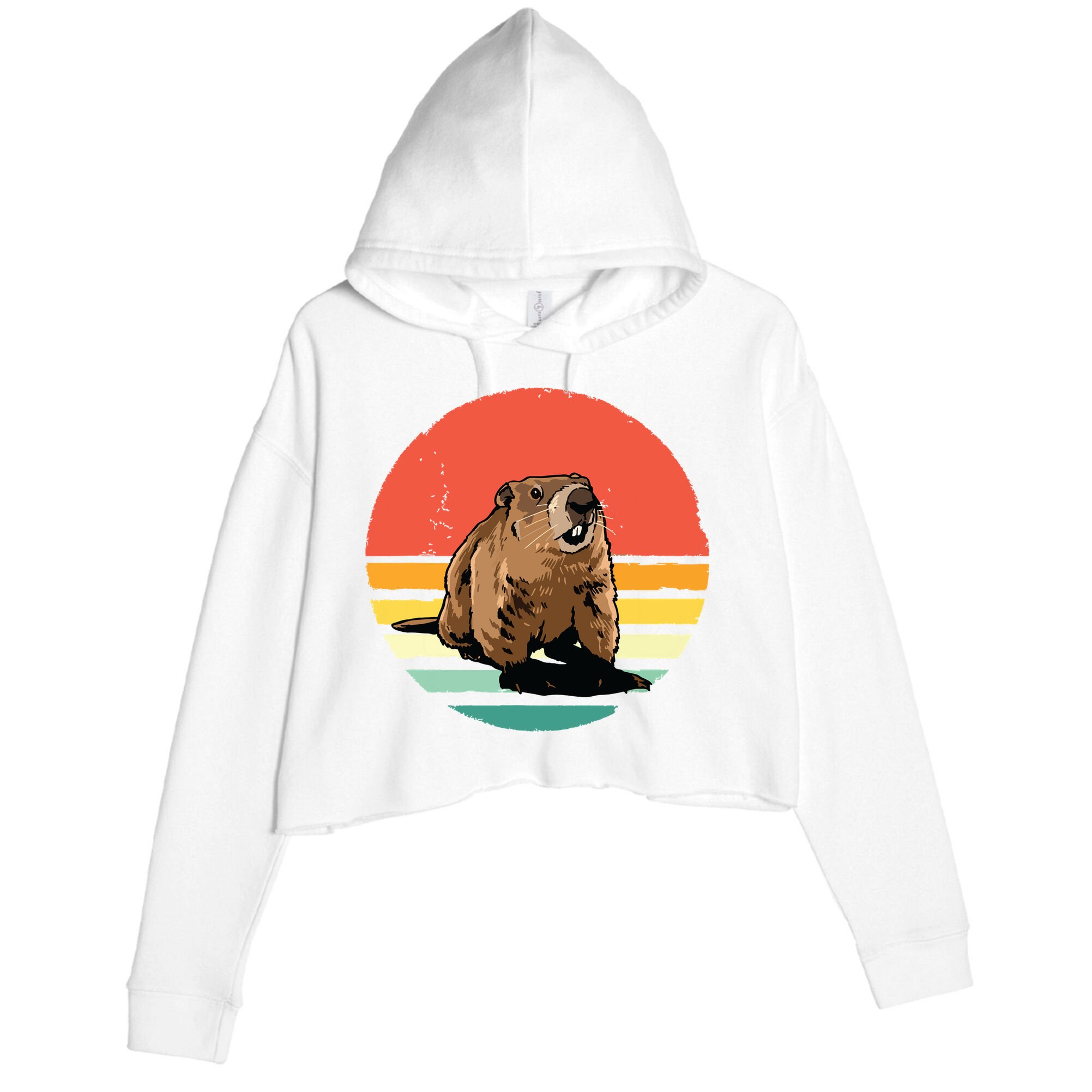 Groundhog Shirts Retro Style Rodent Animal Groundhogs Day Crop Fleece Hoodie