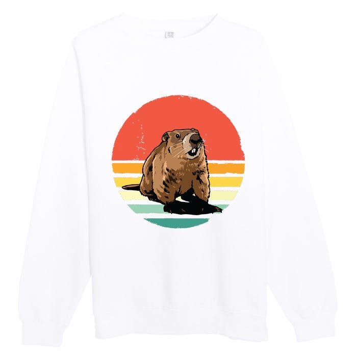 Groundhog Shirts Retro Style Rodent Animal Groundhogs Day Premium Crewneck Sweatshirt