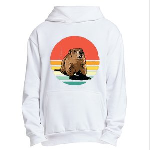 Groundhog Shirts Retro Style Rodent Animal Groundhogs Day Urban Pullover Hoodie