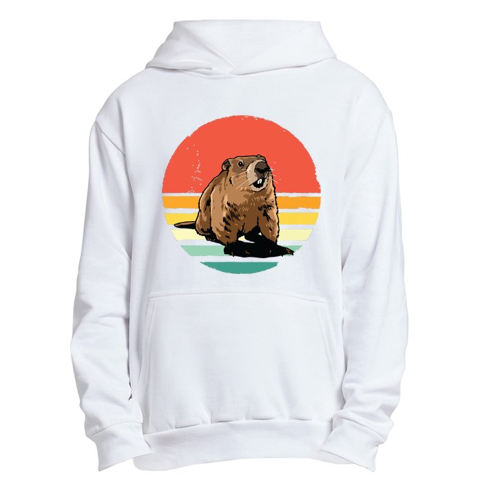 Groundhog Shirts Retro Style Rodent Animal Groundhogs Day Urban Pullover Hoodie