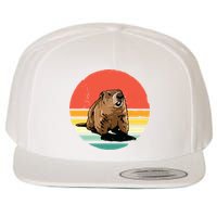 Groundhog Shirts Retro Style Rodent Animal Groundhogs Day Wool Snapback Cap