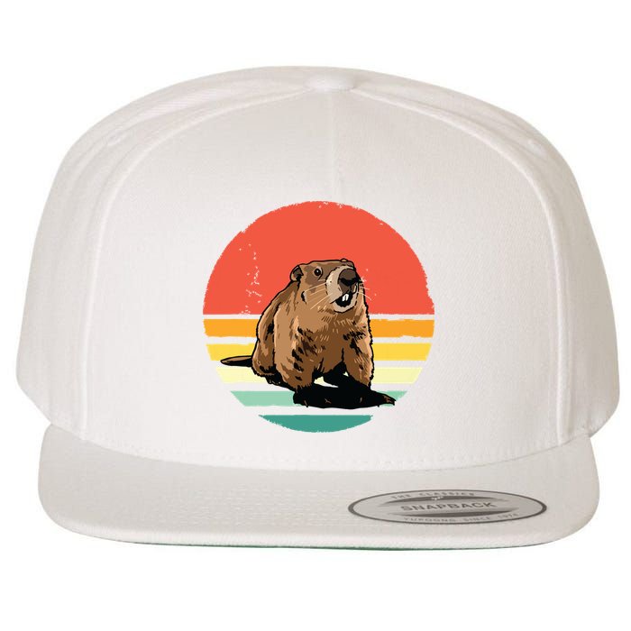 Groundhog Shirts Retro Style Rodent Animal Groundhogs Day Wool Snapback Cap