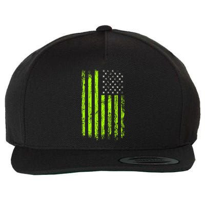 Green Stars & Stripes.American Usa Flag Green Color Wool Snapback Cap
