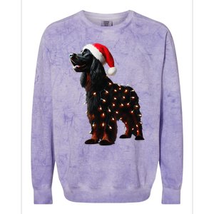 Gordon Setter Santa Hat Christmas Lights Dog Owner Mom Dad Colorblast Crewneck Sweatshirt