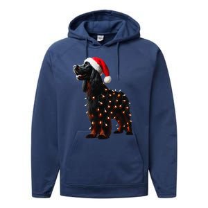 Gordon Setter Santa Hat Christmas Lights Dog Owner Mom Dad Performance Fleece Hoodie