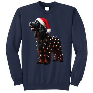 Gordon Setter Santa Hat Christmas Lights Dog Owner Mom Dad Sweatshirt