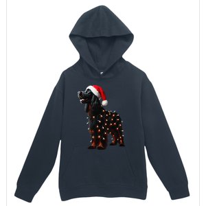 Gordon Setter Santa Hat Christmas Lights Dog Owner Mom Dad Urban Pullover Hoodie