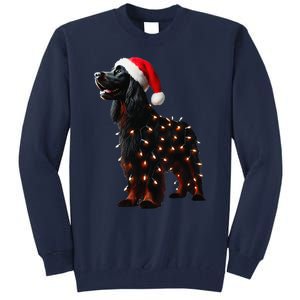 Gordon Setter Santa Hat Christmas Lights Dog Owner Mom Dad Tall Sweatshirt