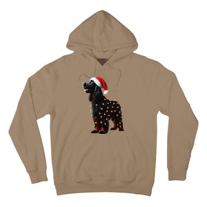 Gordon Setter Santa Hat Christmas Lights Dog Owner Mom Dad Hoodie