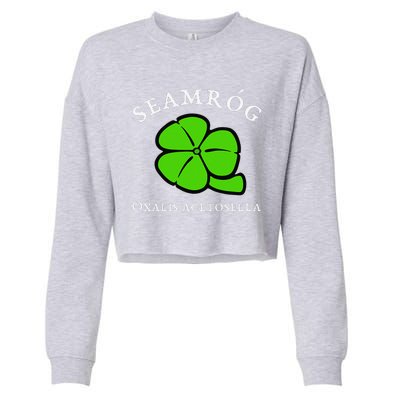 Green Shamrock Saint Patrick's Day Floral Vector Art Cropped Pullover Crew