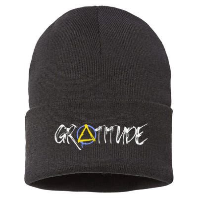 Gratitude Sobriety Symbol Sustainable Knit Beanie