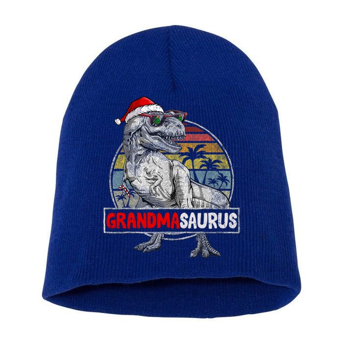 Grandma Saurus T Rex Dinosaur Christmas Family Matching Xmas Gift Short Acrylic Beanie